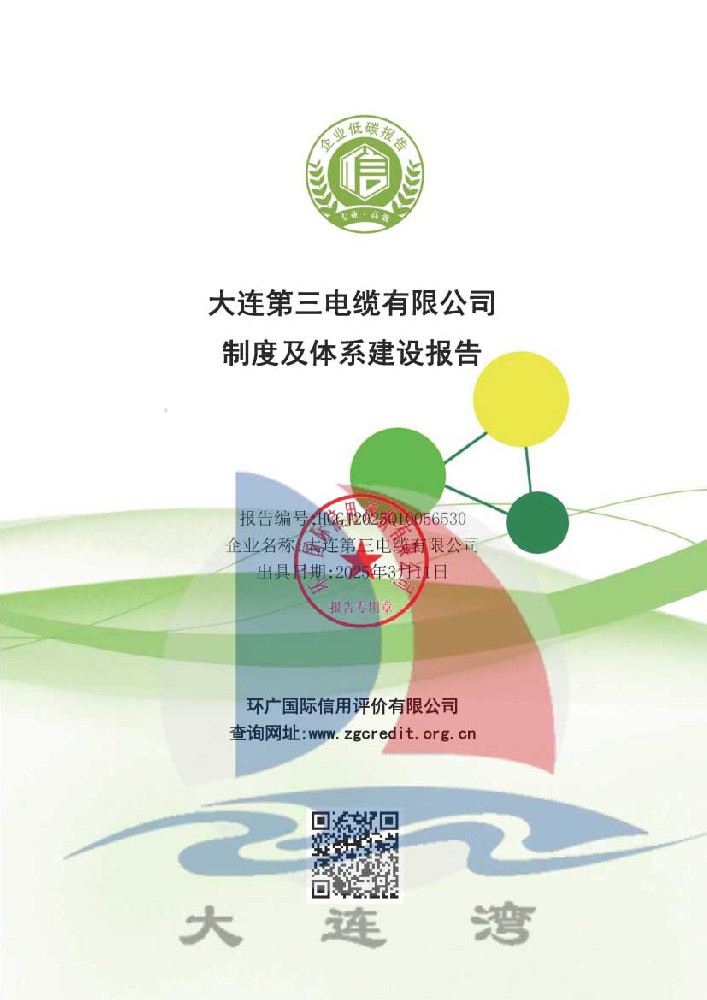 制度及體系建設報告